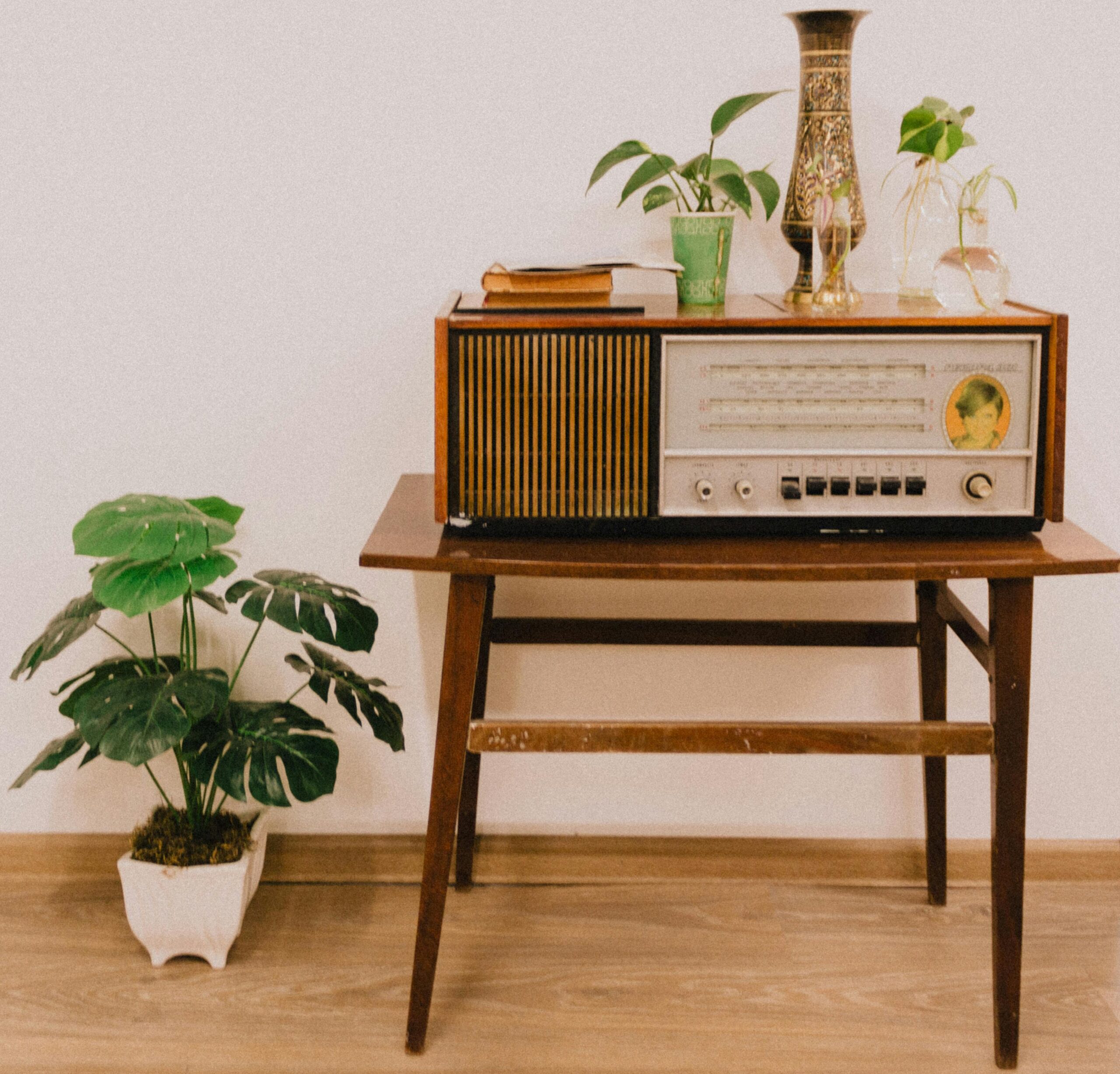 Retro radio setup with wooden table and greenery accenting vintage aesthetics.