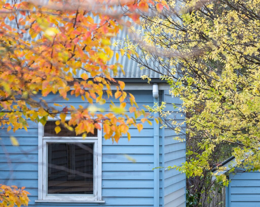 Blue weatherboard cottage under an autumn tree, Mudgeeraba, Gold Coast hinterland, The Old School Cleaning Co.