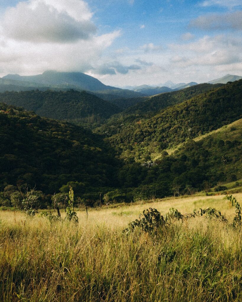 Green hinterland valley view, Currumbin Valley, Gold Coast