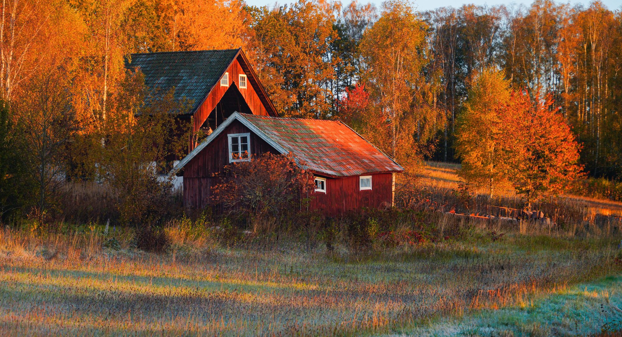 Red barn among autumn trees on an acreage property, Bonogin, Gold Coast hinterland, The Old School Cleaning Co.